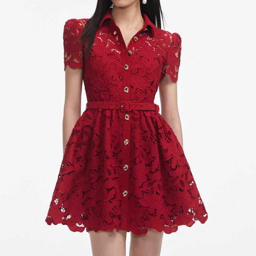SP VIP PRICE Burgundy Lace Collared Mini Dress
