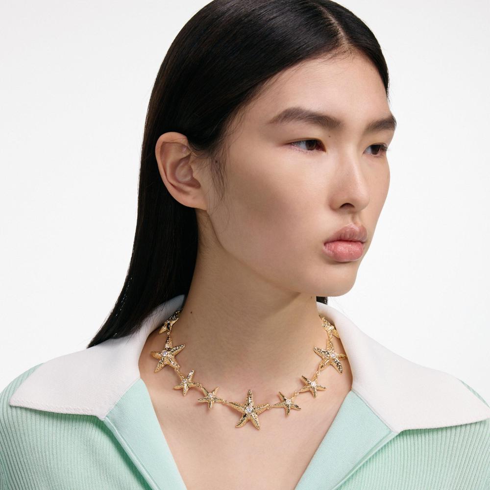 SP VIP PRICE Mottled Gold Sea Star Necklace