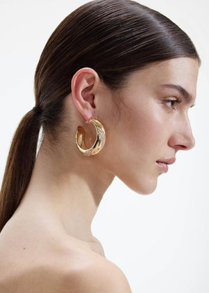 SP VIP PRICE Gold And Crystal Hoop Earrings